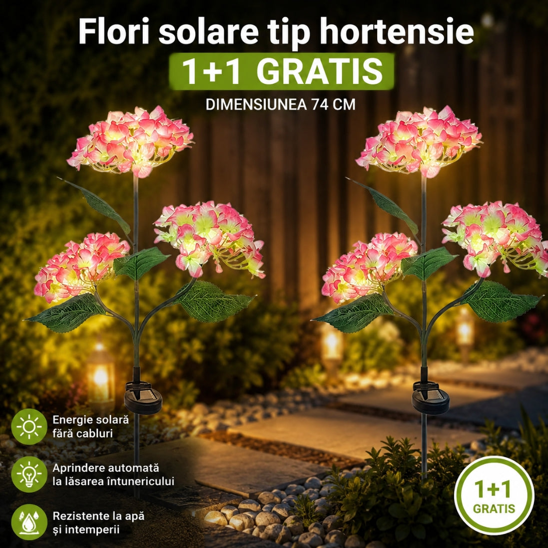 1+1 GRATIS! Flori Solare Tip Hortensie – Iluminează Grădina într-un Mod Magic