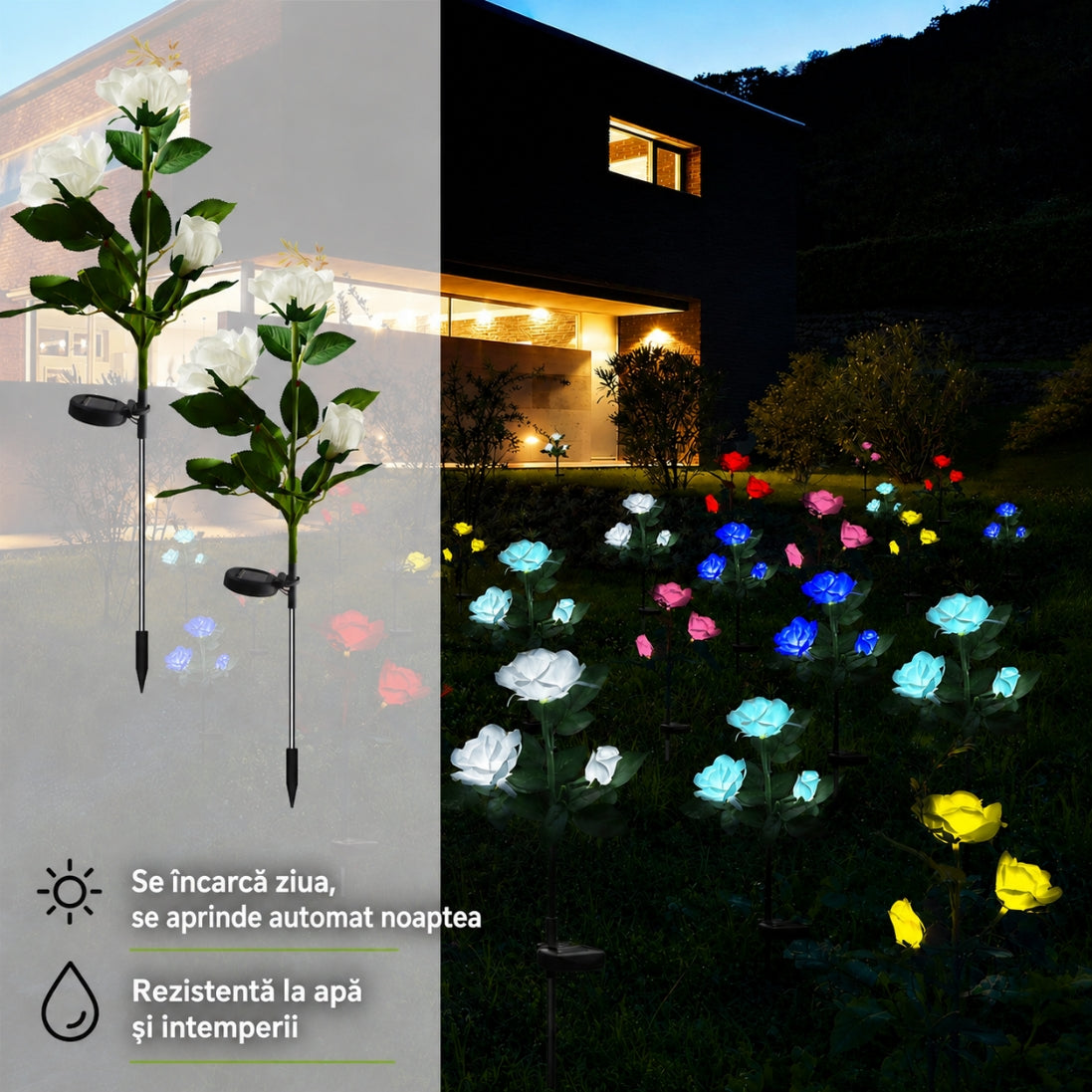 1+1 GRATIS! Trandafiri Solari LED – Eleganță și Lumină Magică pentru Grădina Ta