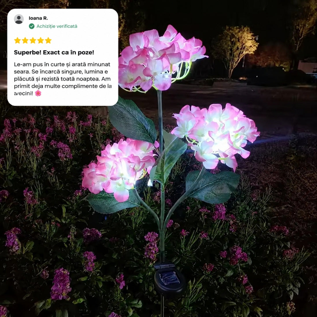 1+1 GRATIS! Flori Solare Tip Hortensie – Iluminează Grădina într-un Mod Magic