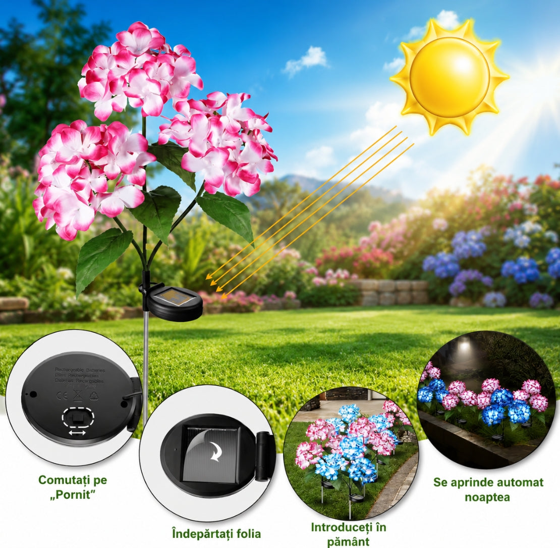 1+1 GRATIS! Flori Solare Tip Hortensie – Iluminează Grădina într-un Mod Magic